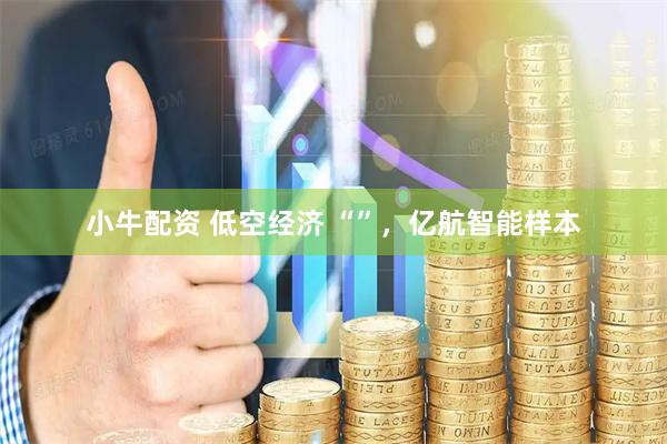 小牛配资 低空经济 “”，亿航智能样本