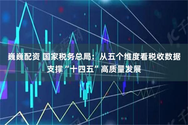 巍巍配资 国家税务总局：从五个维度看税收数据支撑“十四五”高质量发展